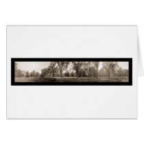 Vassar Panoramic Photo 1912 cards