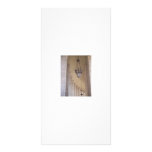 Vatican City 2 Photo Card Template