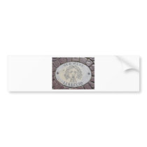 Vatican Piazza floor Bumper Stickers