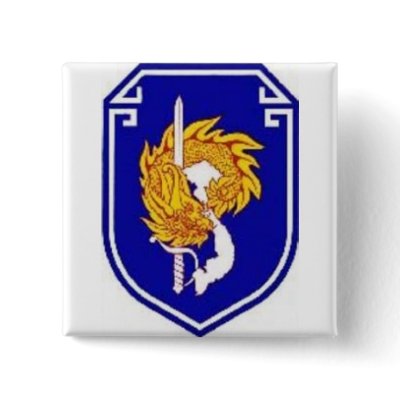 VBQG PINBACK BUTTON by haipham