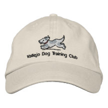 VDTC Embroidered Cap Embroidered Baseball Caps