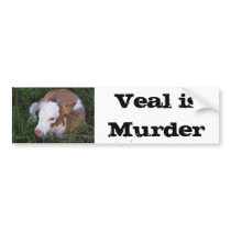 Veal Is Murder bumper sticker bumper stickers