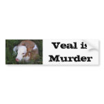 Veal Is Murder bumper sticker