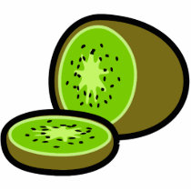 Vector kiwifruit photo sculpture
