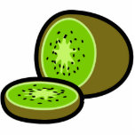 Vector kiwifruit photo sculpture