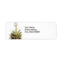 Veery, John Audubon Return Address Labels