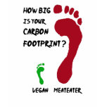 Vegan Carbon Footprint