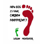Vegan Carbon Footprint