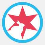 Vegan Chicago Color Small Sticker