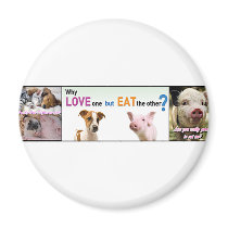 Vegan Gear Whats the difference? Magnets
