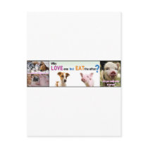 Vegan Gear Whats the difference? Post Cards