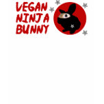Vegan Ninja Bunny