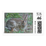 Vegan Rule #2 Obey the Bunny! Stamps
