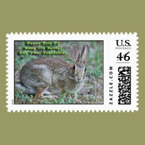 Vegan Rule #2 Obey the Bunny! Stamps stamps