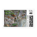 Vegan Serenity Bunny USPS Postage