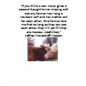 vegan shirt cow and calf - Customized