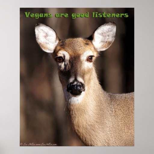 Vegans Are Good Listeners Deer Poster