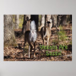 Vegans Are Sassy! Whitetail Deer Poster