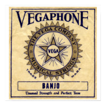Vegaphone Strings Poster posters