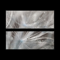 Vegetable drops of rain canvas prints