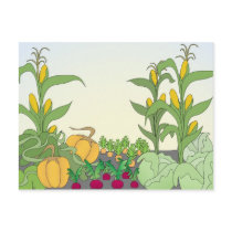 Vegetable Garden Post Cards
