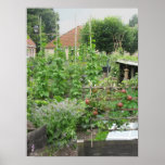Vegetable Garden Poster