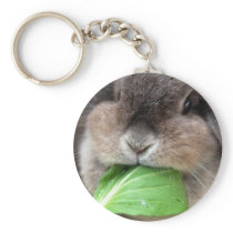 Vegetable munching (keychain)