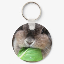 Vegetable munching (keychain)