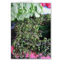 Vegetables from Kuchin cards