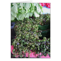 Vegetables from Kuchin cards by PhotoDigital Vegetables from Kuchin cards