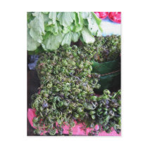 Vegetables from Kuchin postcards