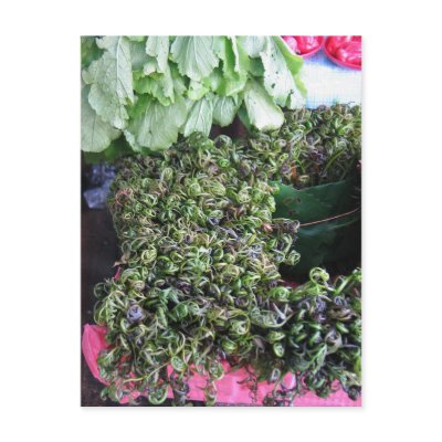 Vegetables from Kuchin Postcard by PhotoDigital