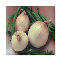 Vegetables magnets by GalleryVisage Vegetables magnets