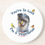 Vegetarian Bird Dog Beverage Coaster