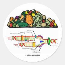 Vegetarian DNA (Vegetarian Attitude) Round Sticker