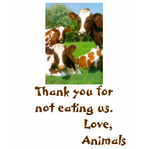 Vegetarian Shirt