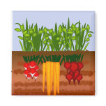 Veggie Garden Refrigerator Magnets