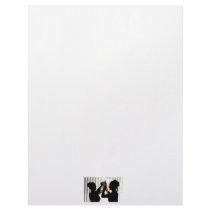 Veil Adjust Bride Outline Photograph Design Letterhead Design
