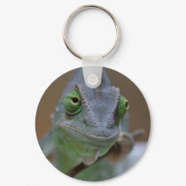 Veiled chameleon keychains by EMangl Veiled chameleon keychains