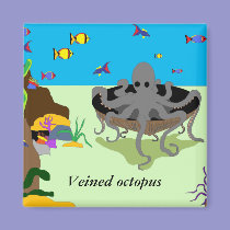 Veined octopus magnet