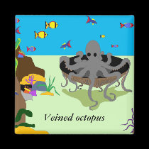 Veined octopus magnet magnets