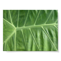 "Veins" posters