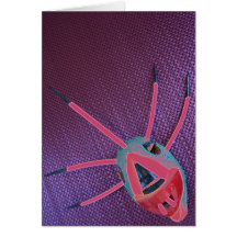 Vejigante coconut mask from Puerto Rico Greeting Card