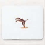 velociraptor mousepads