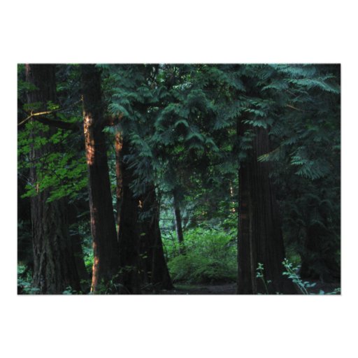 Velvet Forest Personalized Invites