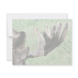 Velvet Moose Antlers Invitation