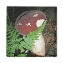 Velvet Mushroom Magnet by CarolsCamera Velvet Mushroom Magnet