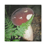 Velvet Mushroom Magnet
