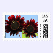 Velvet Queen Sunflowers postage