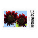 Velvet Queen Sunflowers postage